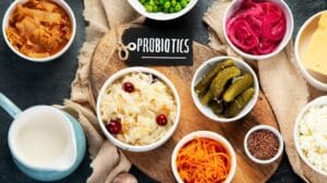 20 Key Supplements and Their Health Benefits Explained 16 Probiotics